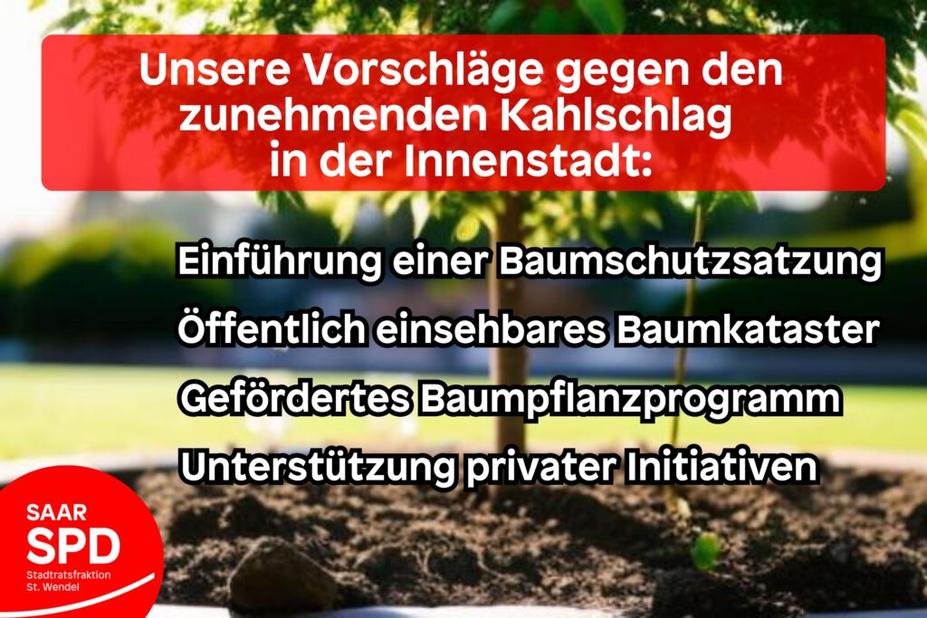 Unsere-Vorschlaege-gegen-den-zunehmenden-Kahlschlag-in-der-Innenstadt-1024x683.jpg